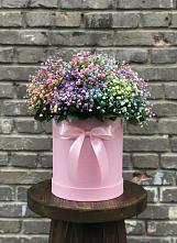 Цветочная композиция из Гипсофила и Розы в шляпной коробке в Новой Ладоге
