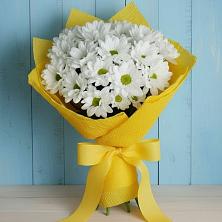 Букет цветов из:  Хризантемы в Новой Ладоге