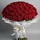 Букет 101 Красная роза Блэк Мэджик в Новой Ладоге