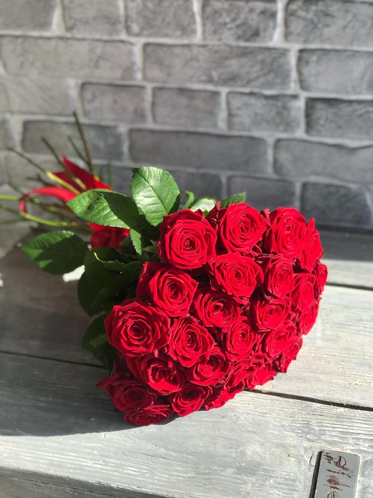 Букет Красные розы Фридом в Новой Ладоге