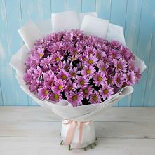 Букет цветов из:  Хризантемы в Новой Ладоге