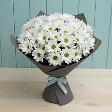 Букет цветов из:  Хризантемы #REPLACE_PRED# Новой Ладоге
