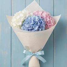 Букет цветов из:  Гортензия в Новой Ладоге