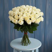 Букет 51 Белая роза Эдлесс Лав #REPLACE_PRED# Новой Ладоге