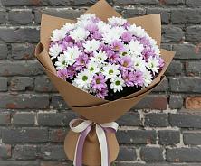 Букет цветов из:  Хризантемы #REPLACE_PRED# Новой Ладоге