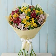 Букет цветов из:  Альстромерии в Новой Ладоге