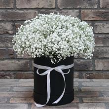 Цветочная композиция из Гипсофила в шляпной коробке в Новой Ладоге