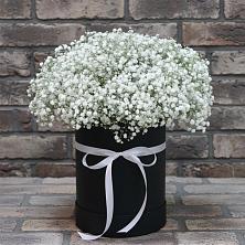 Цветочная композиция из Гипсофила в шляпной коробке в Новой Ладоге