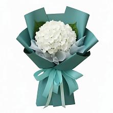 Букет цветов из:  Гортензия в Новой Ладоге